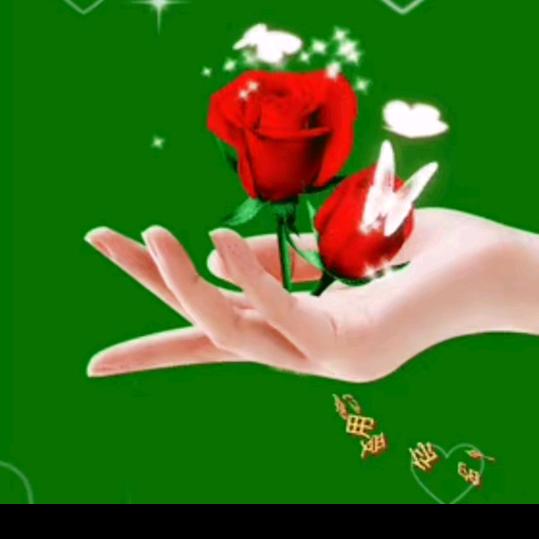 ꦿ໊💞温馨᭄港湾᭄