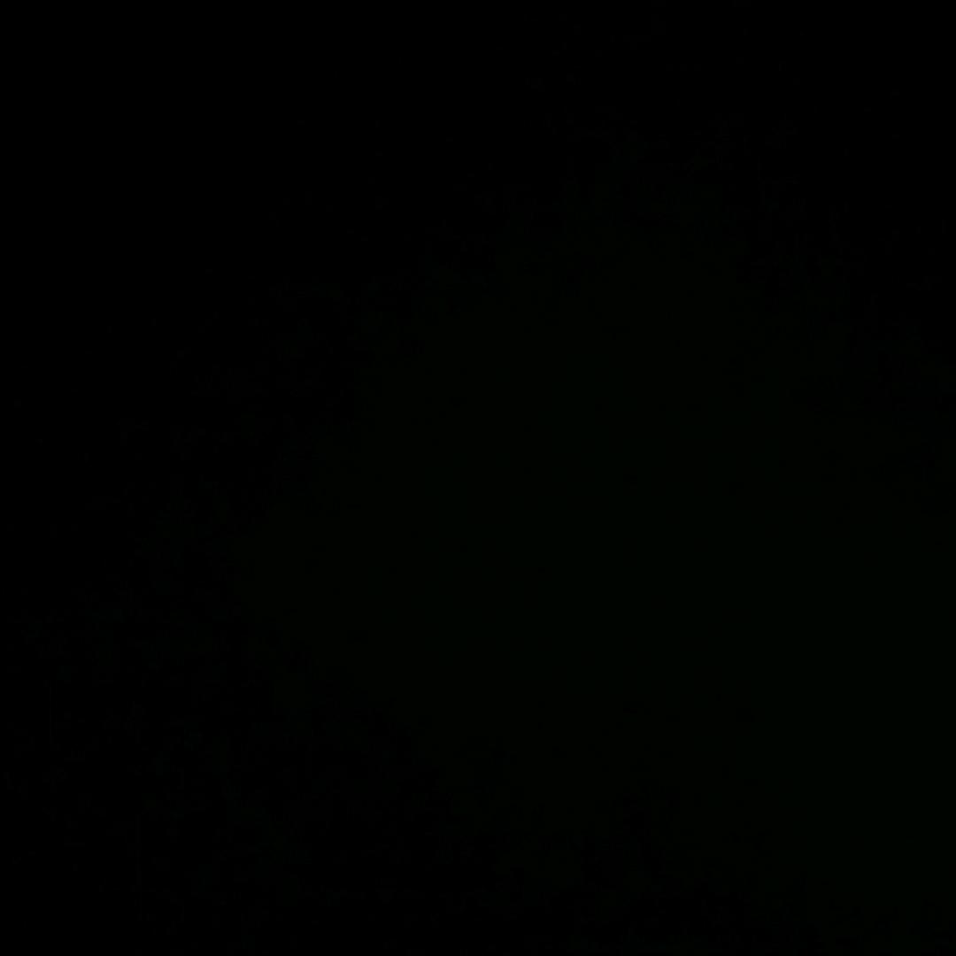 冷🦋