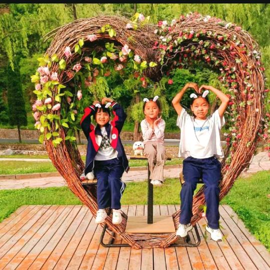 镜子中的牡丹花