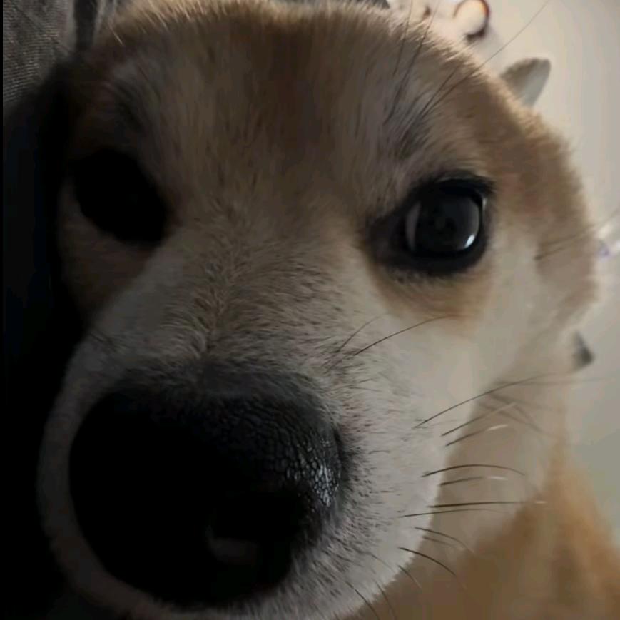 管家先生