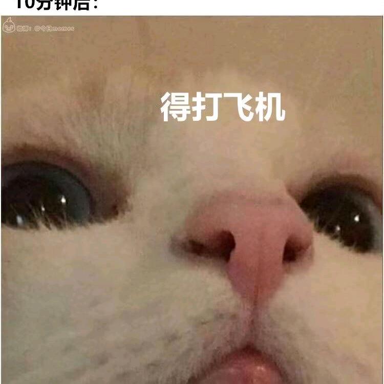 那你少管