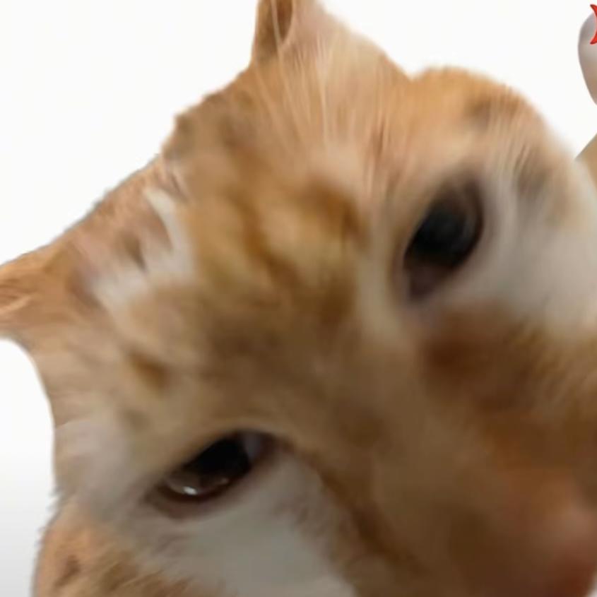 🥨