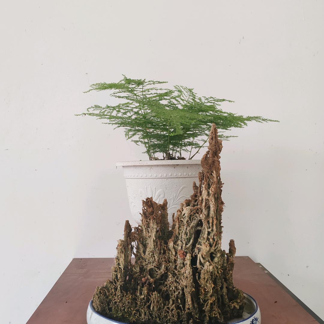 重渡沟典艺客栈