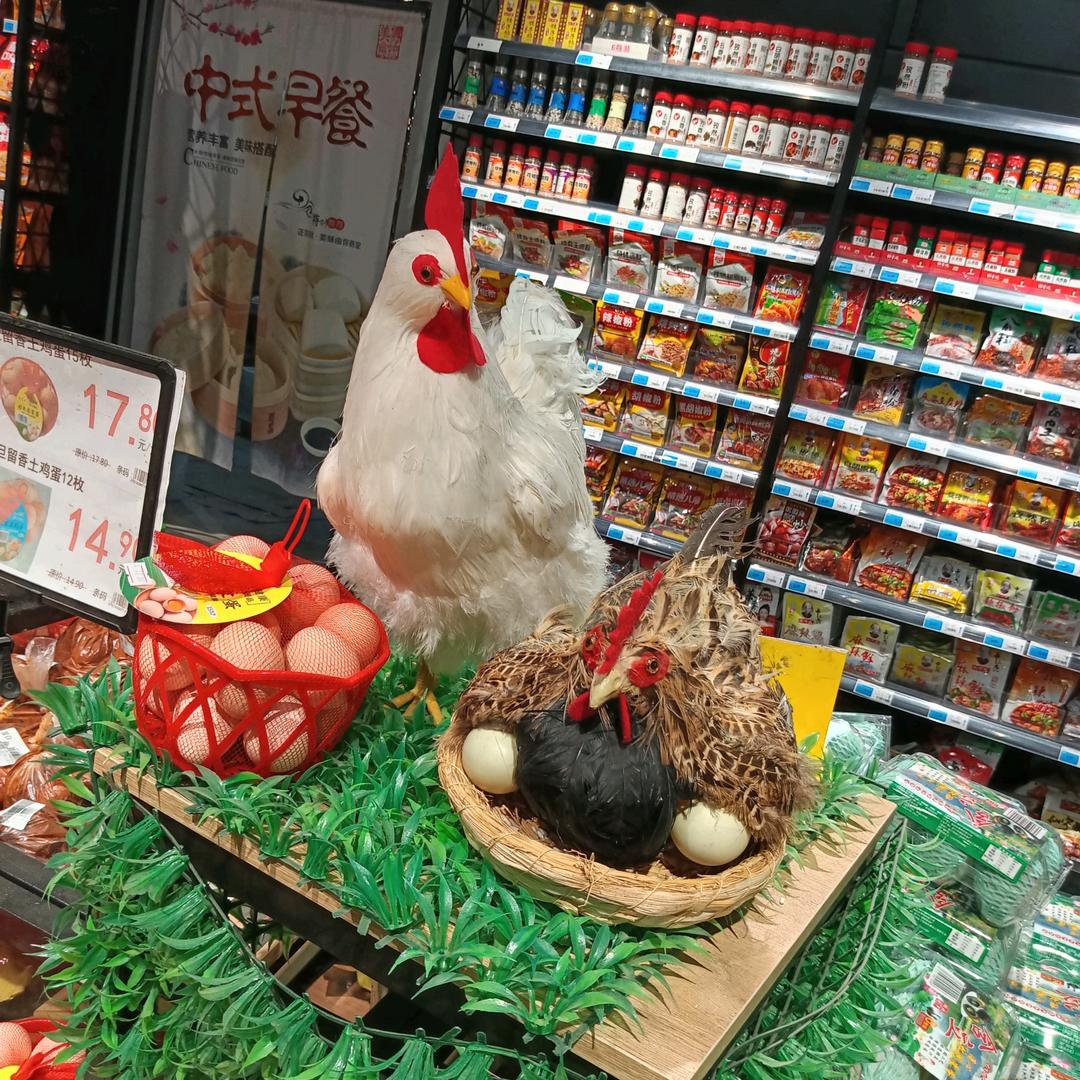一切从头再来