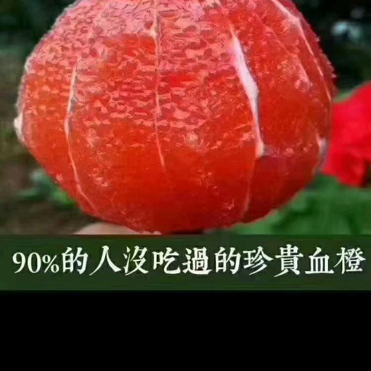 💞⃨᪲张心ꦿ᪲为王୫໊࿐