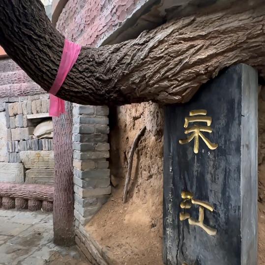 好运常在