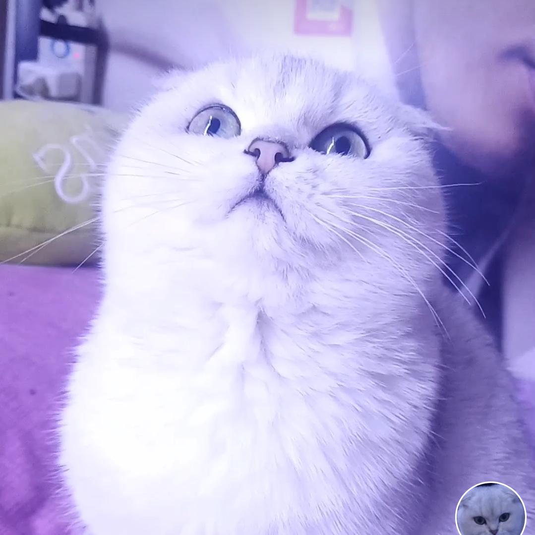 LSY李文化