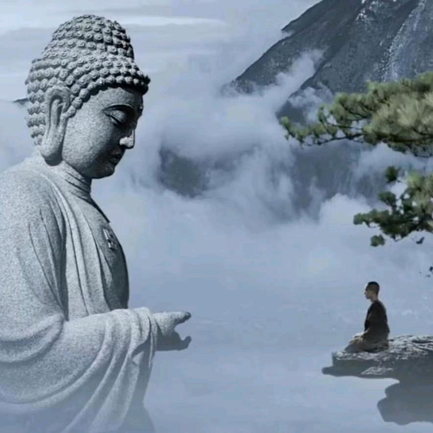 集秀园🌲青峰
