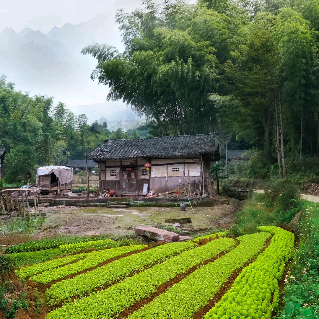 飞飞加油