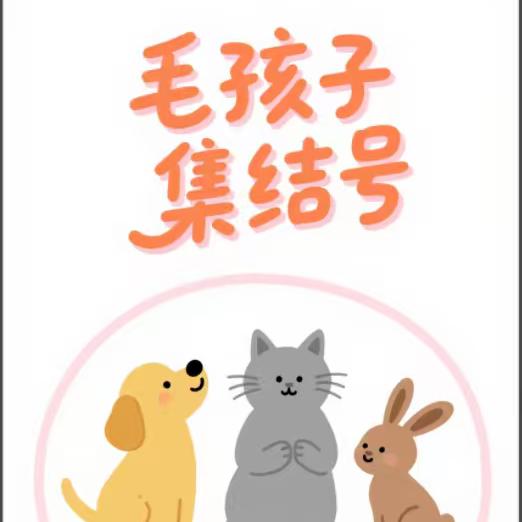 同城😸😸宠物交流