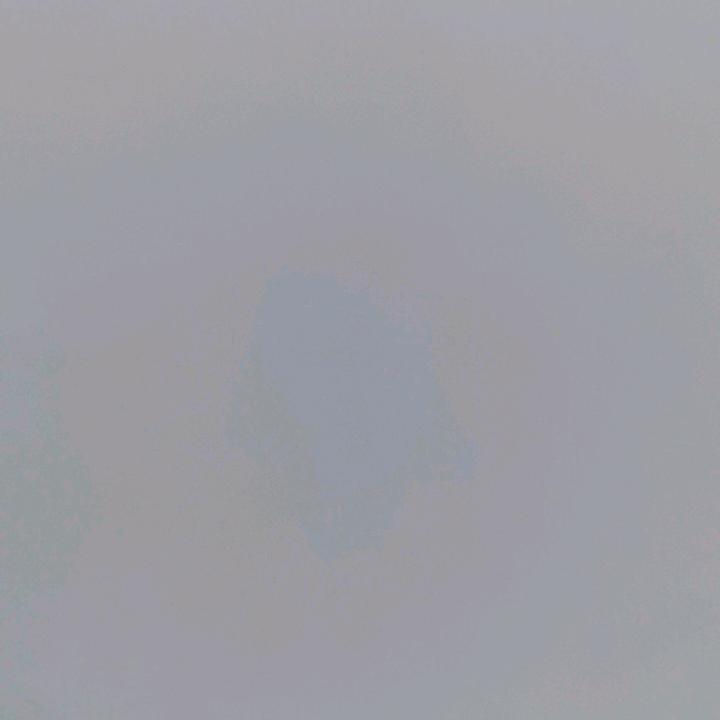 麻辣骨盆