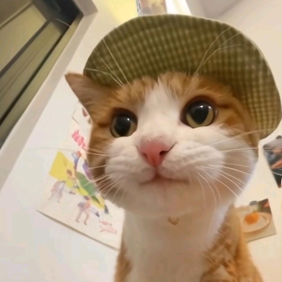 一朵人间富贵花 ♡