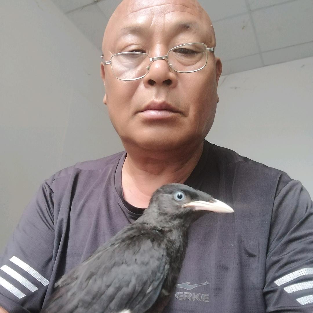 老孙游钓
