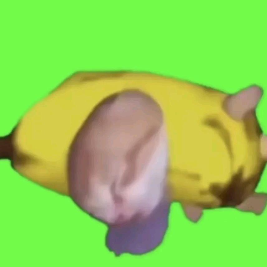 猫meme(冲100粉)
