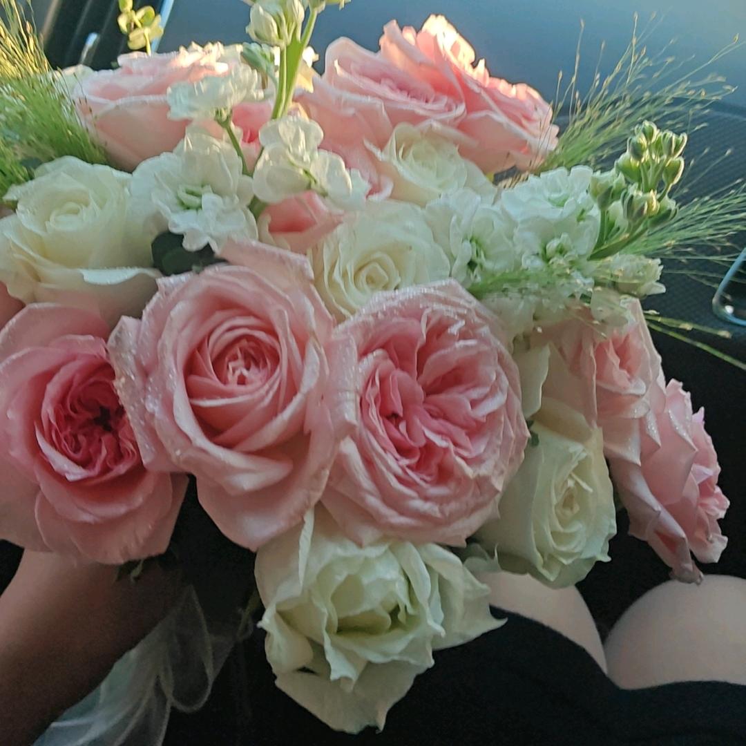 我是静静呀（繁华与你）