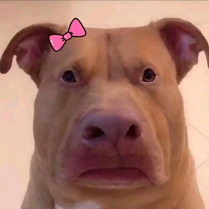 阿姊