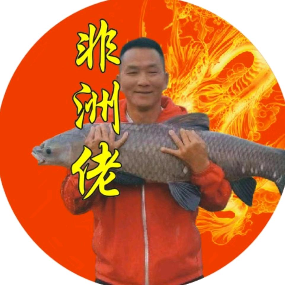 非洲佬青鱼专攻小号