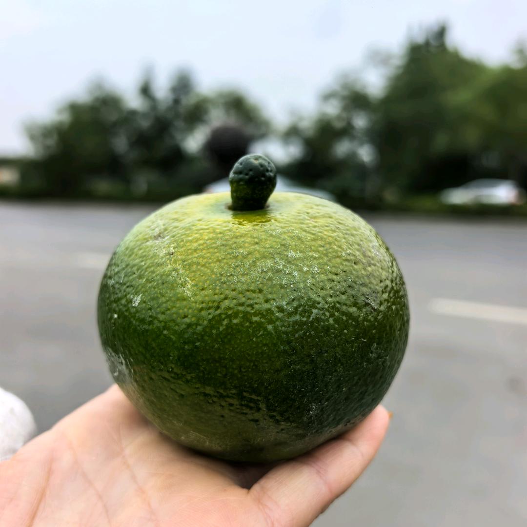 喊声大哥我听听