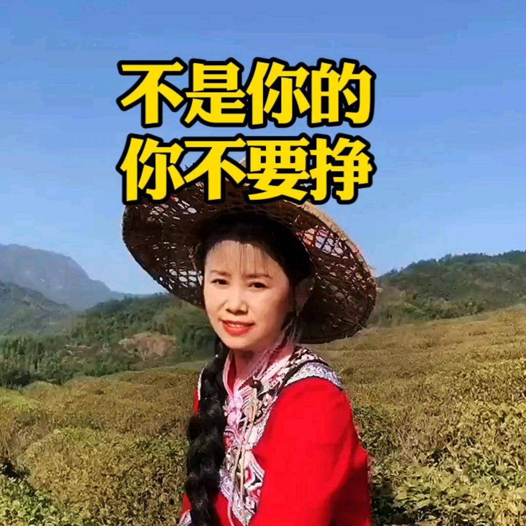 元华在沈阳