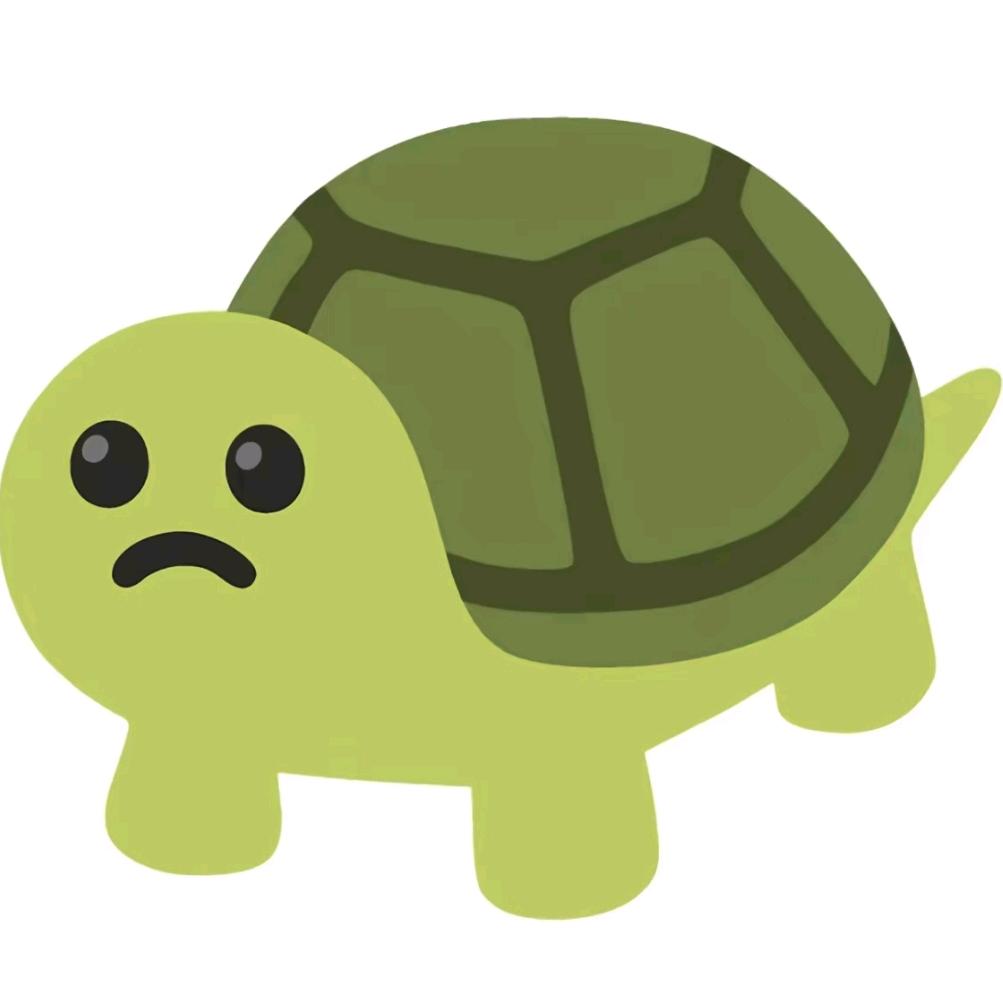 调皮de小乌龟778