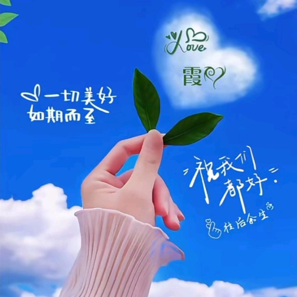 奶茶全糖