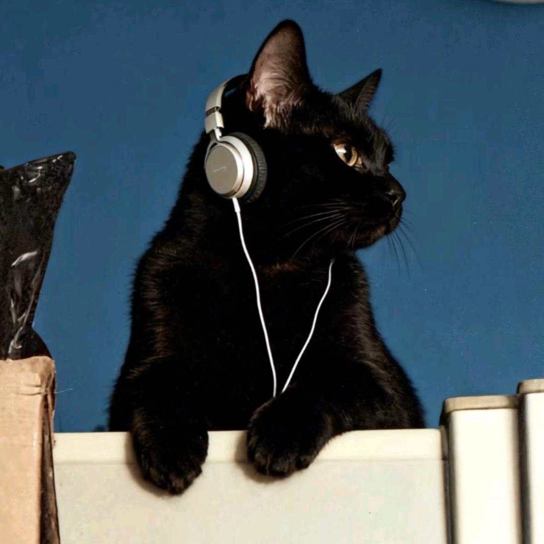 HaHaHa这个世界上根本没有星期八