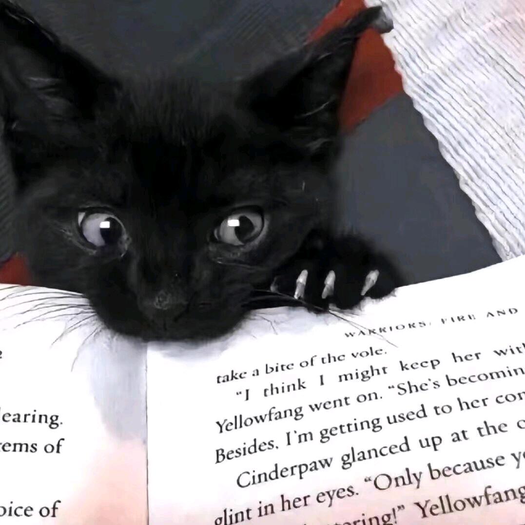 C-137号猫与晴空