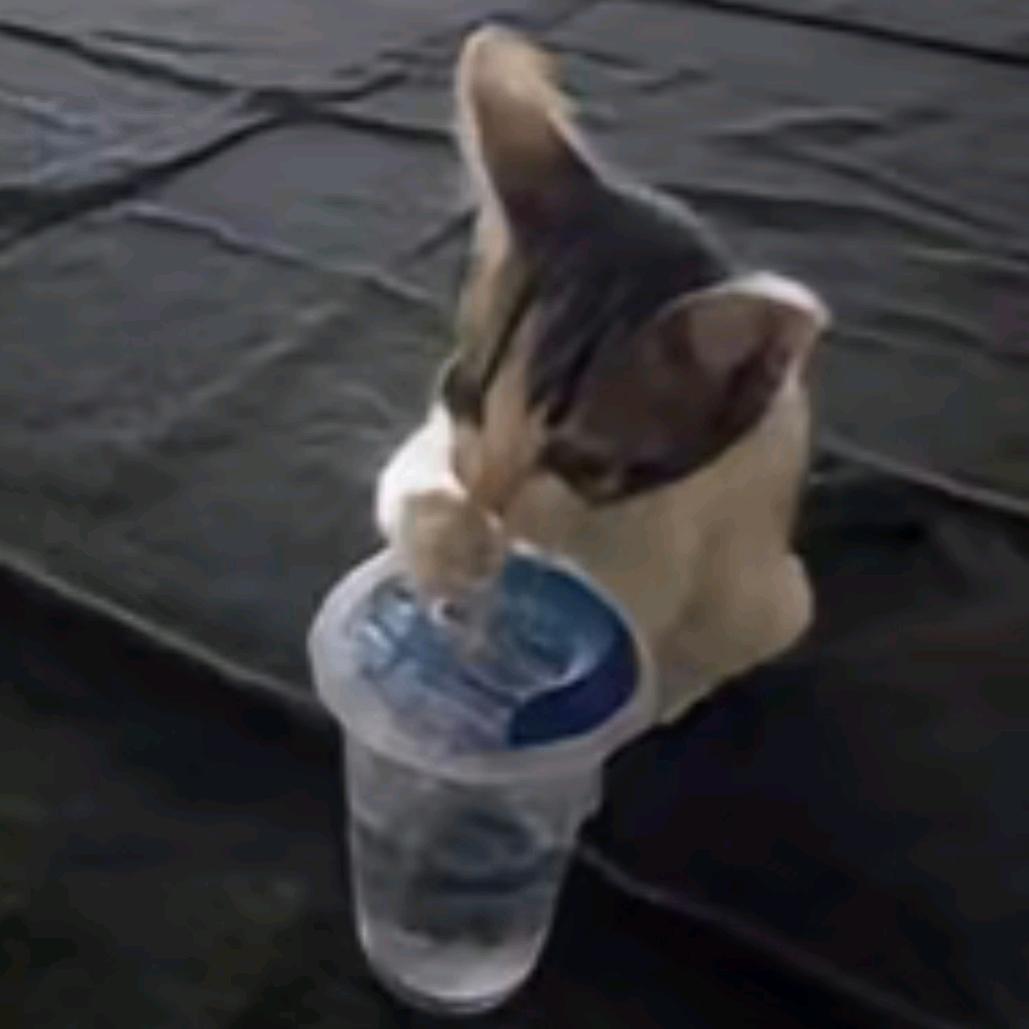 绉纱小馄饨