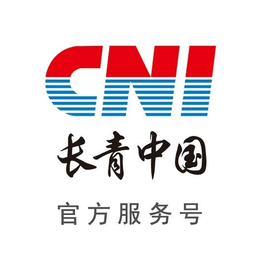 长青元气值