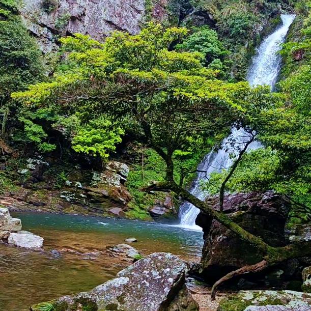 青崖远