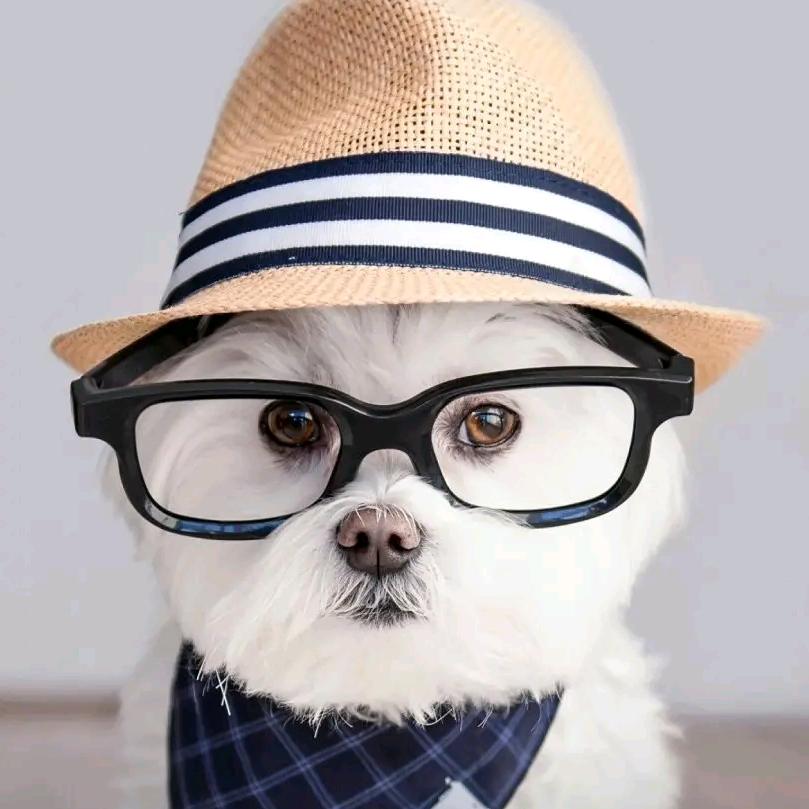 湖南寻品农产品贸易