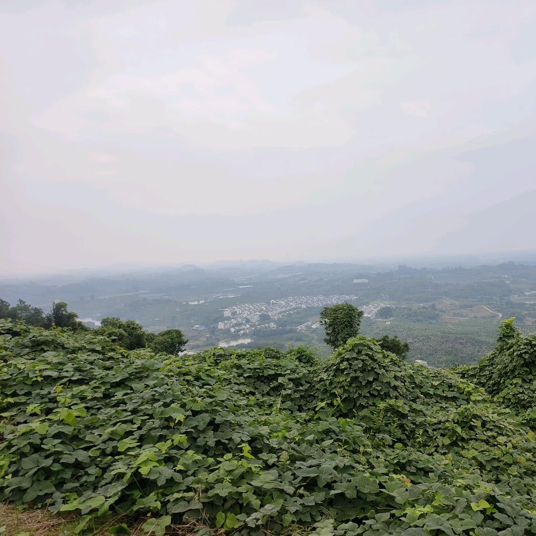 摸，夜螺丝