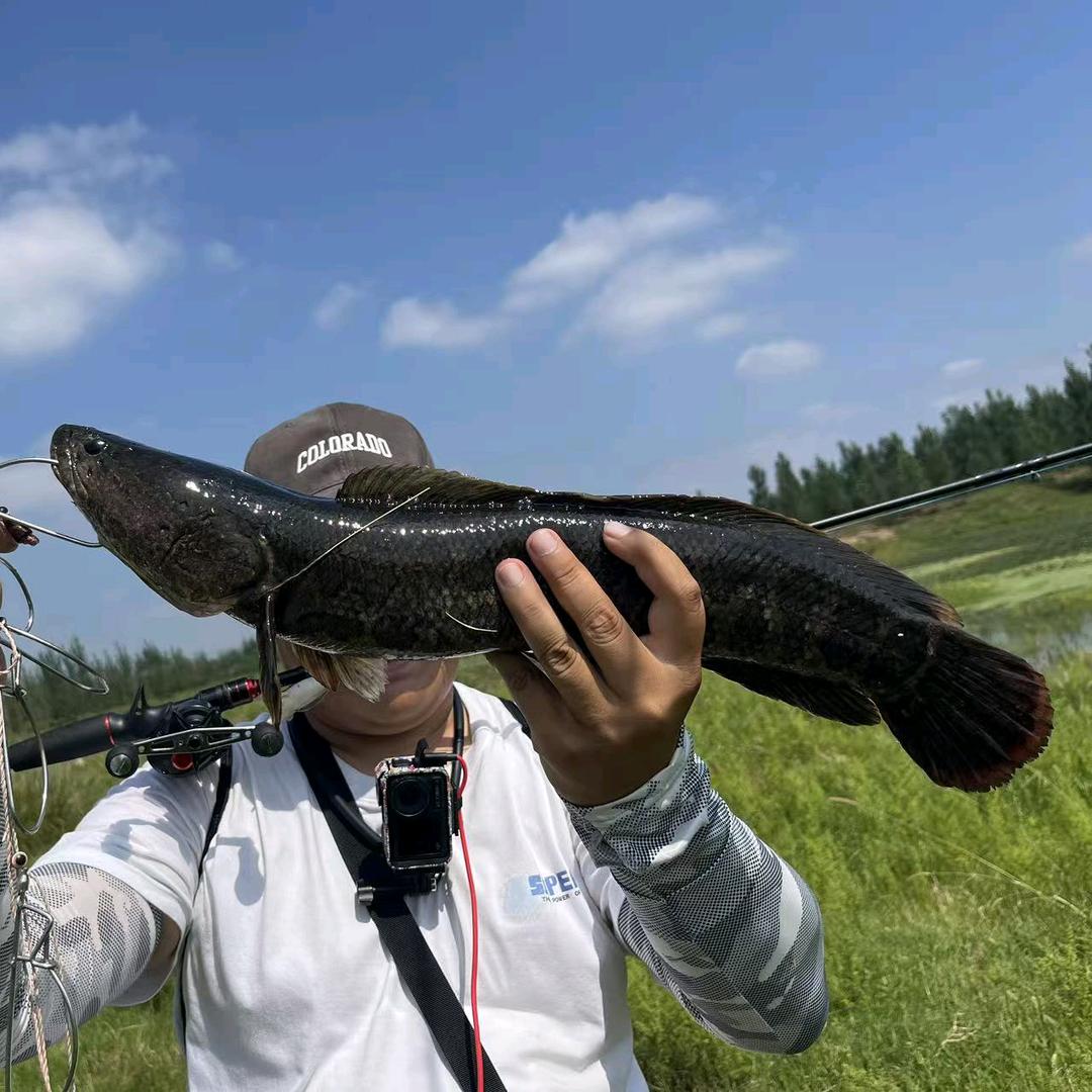 爱路亚的孙老汉