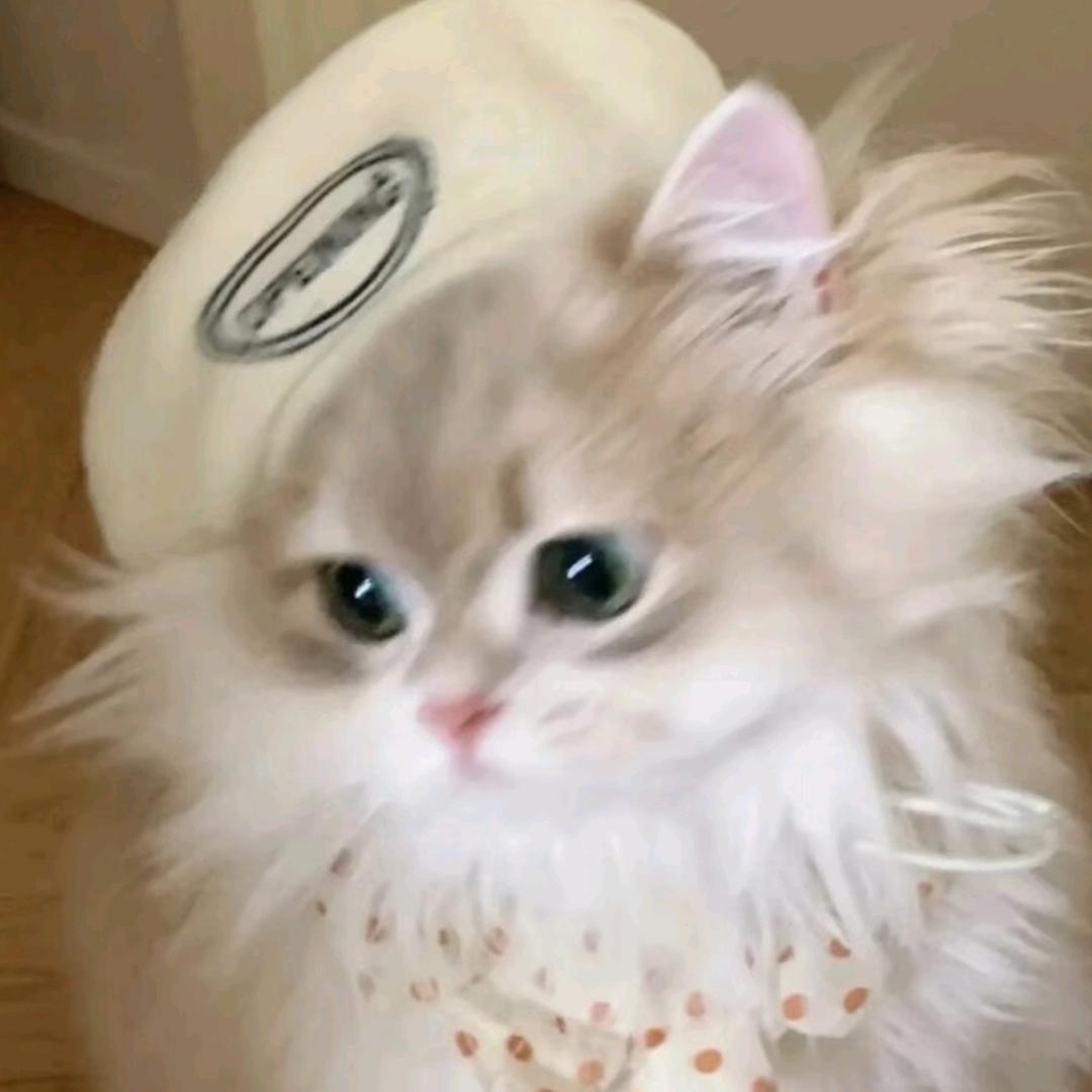 小也