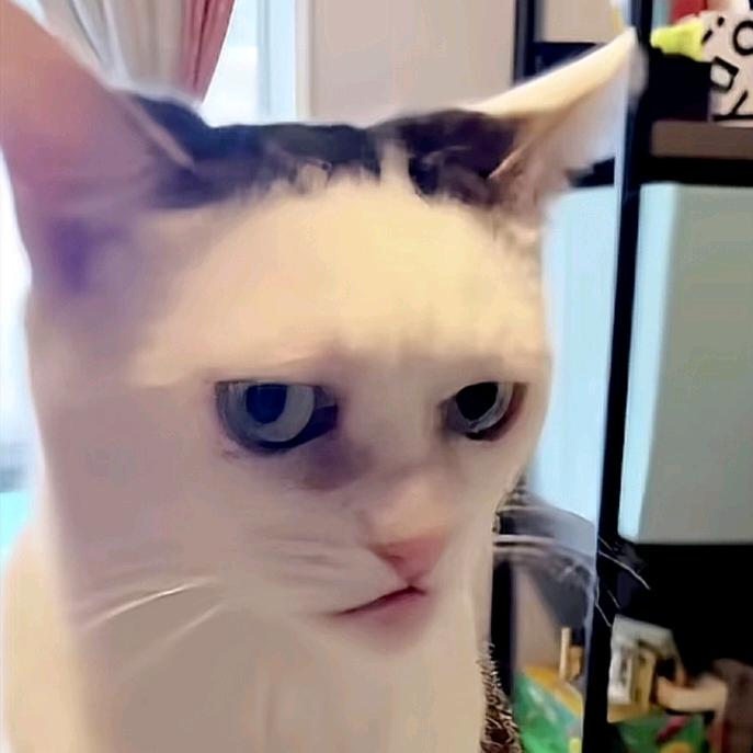 黄焖Jimmy饭