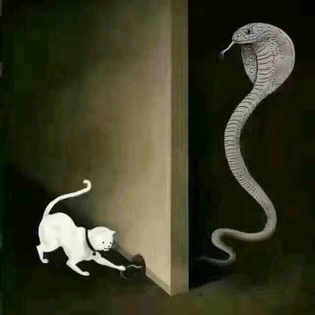 (￣ε(#￣)☆╰╮o(￣皿￣///)