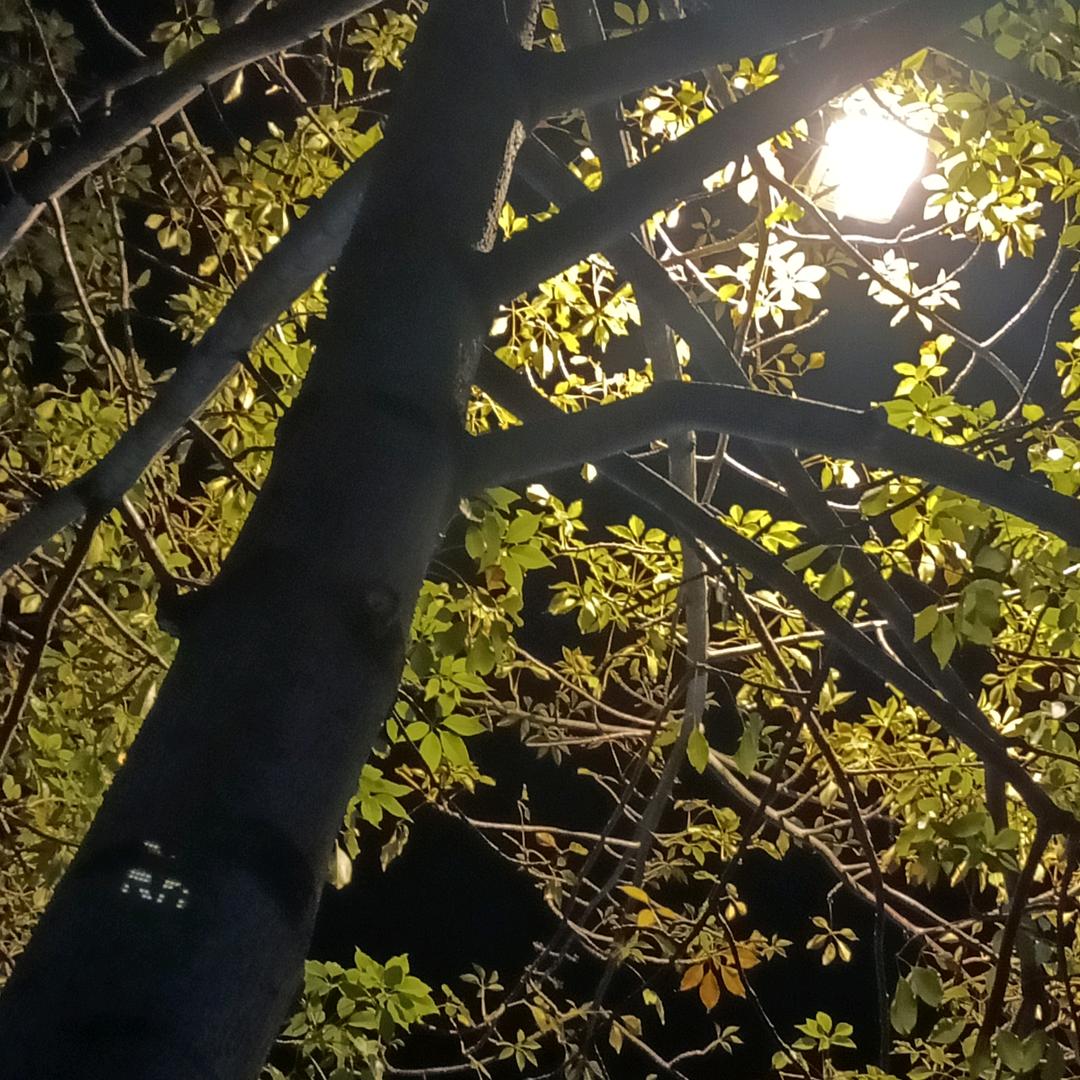 王小妞