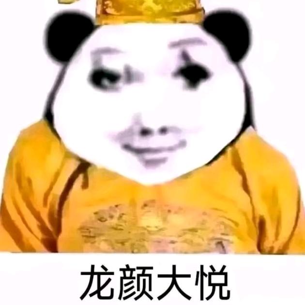 君的快乐生活