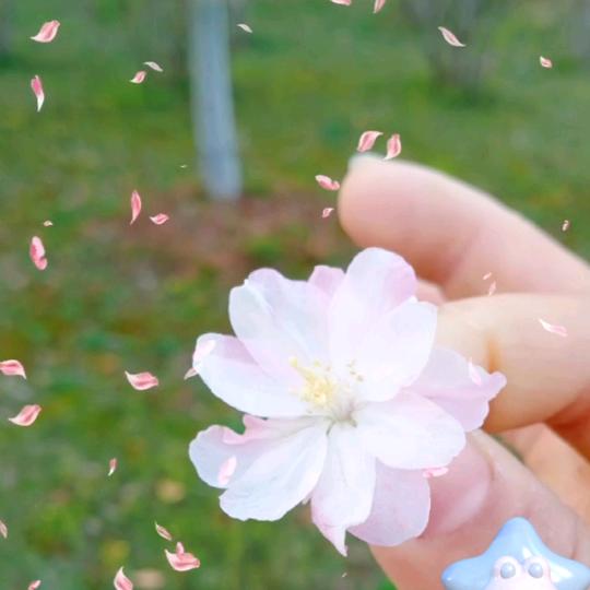 ✨