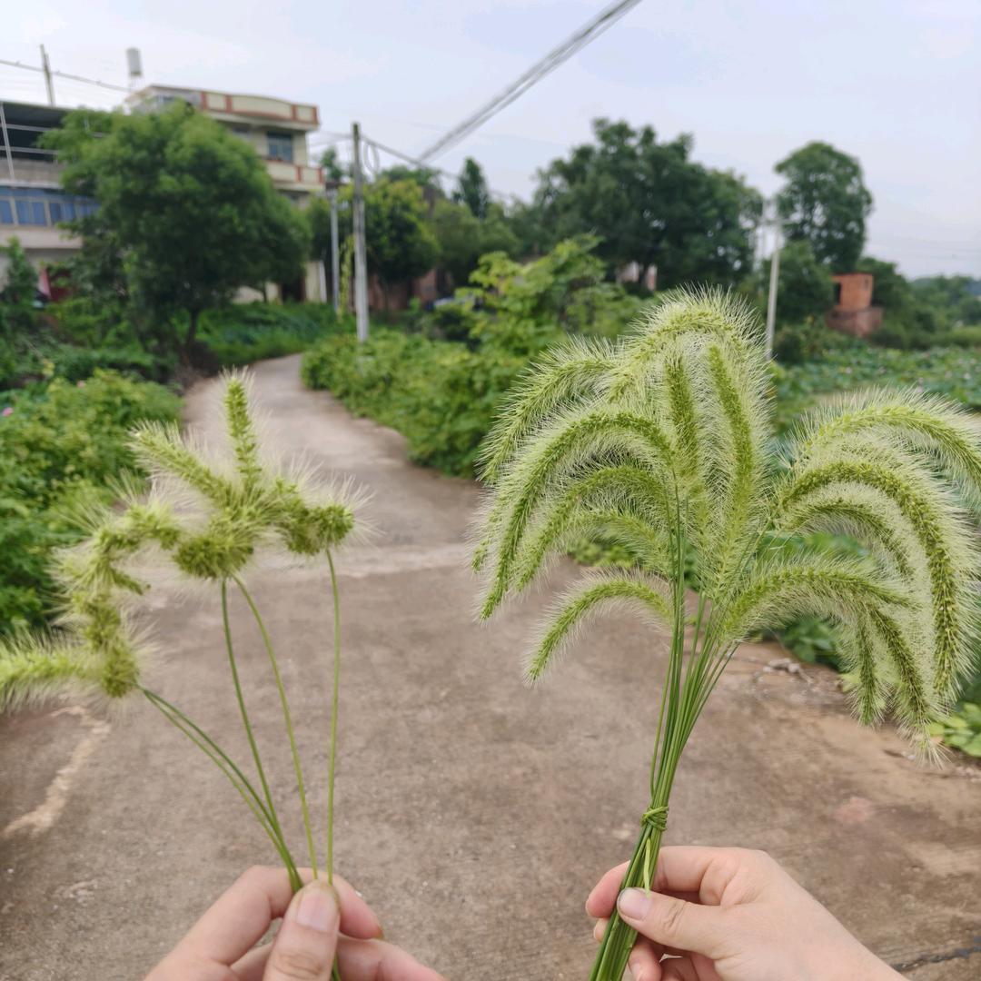 ゞ婲🍐*胡梢🌸ゞ