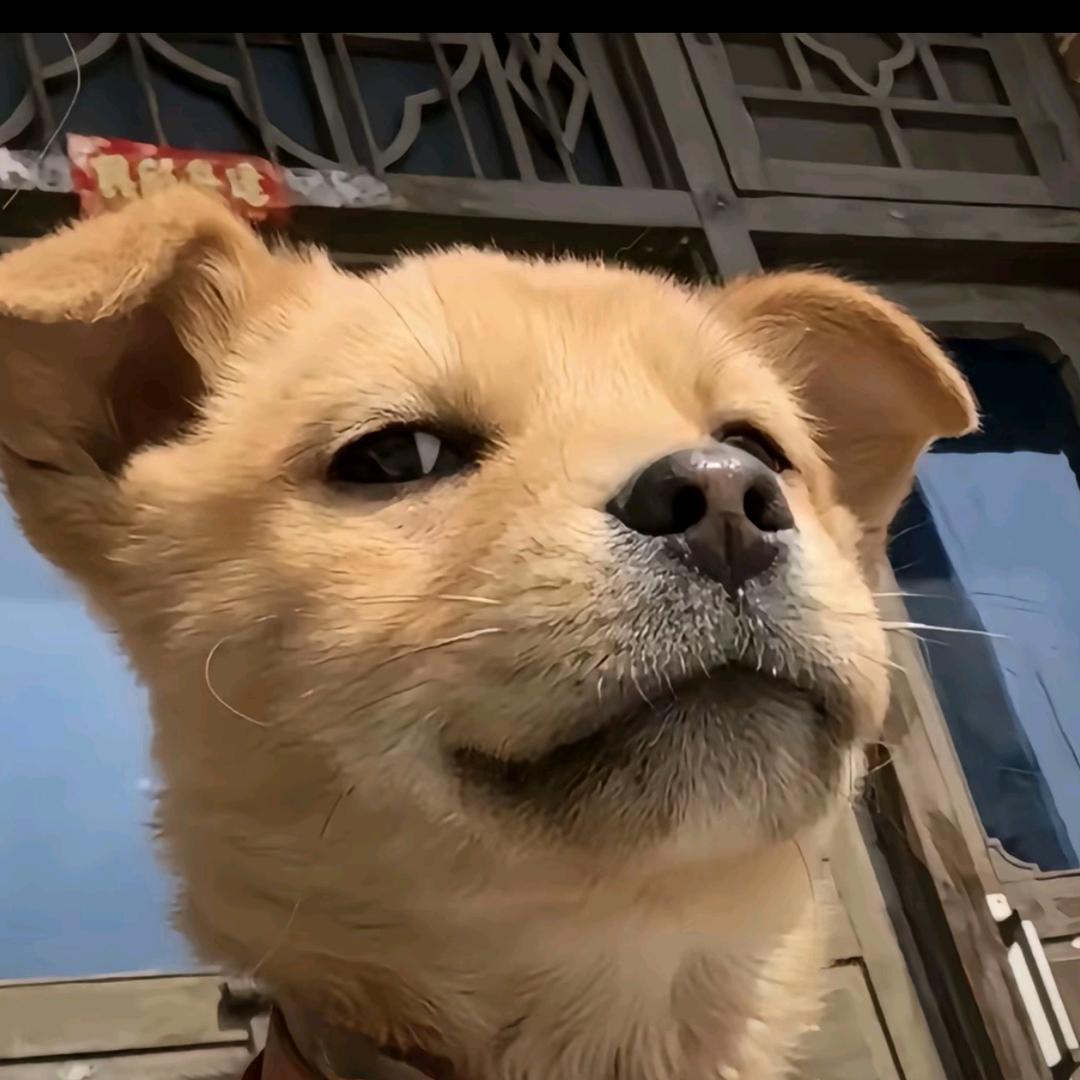 锅巴