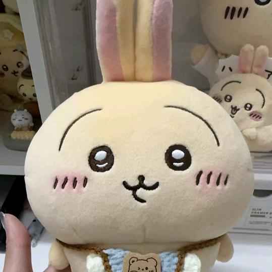 ʕ•ᴗ•ʔ
