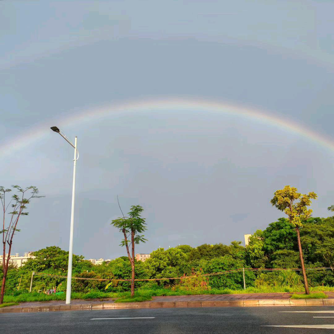 遇见最帅赖公子