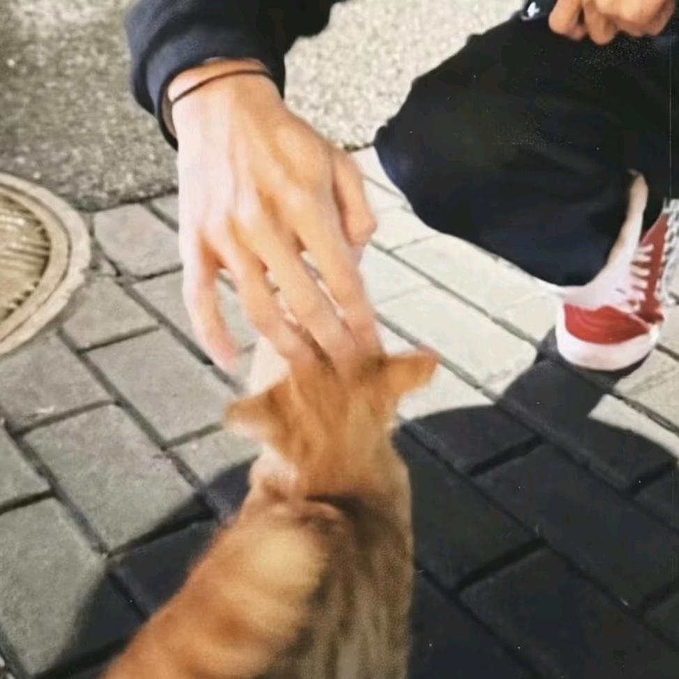 🍬