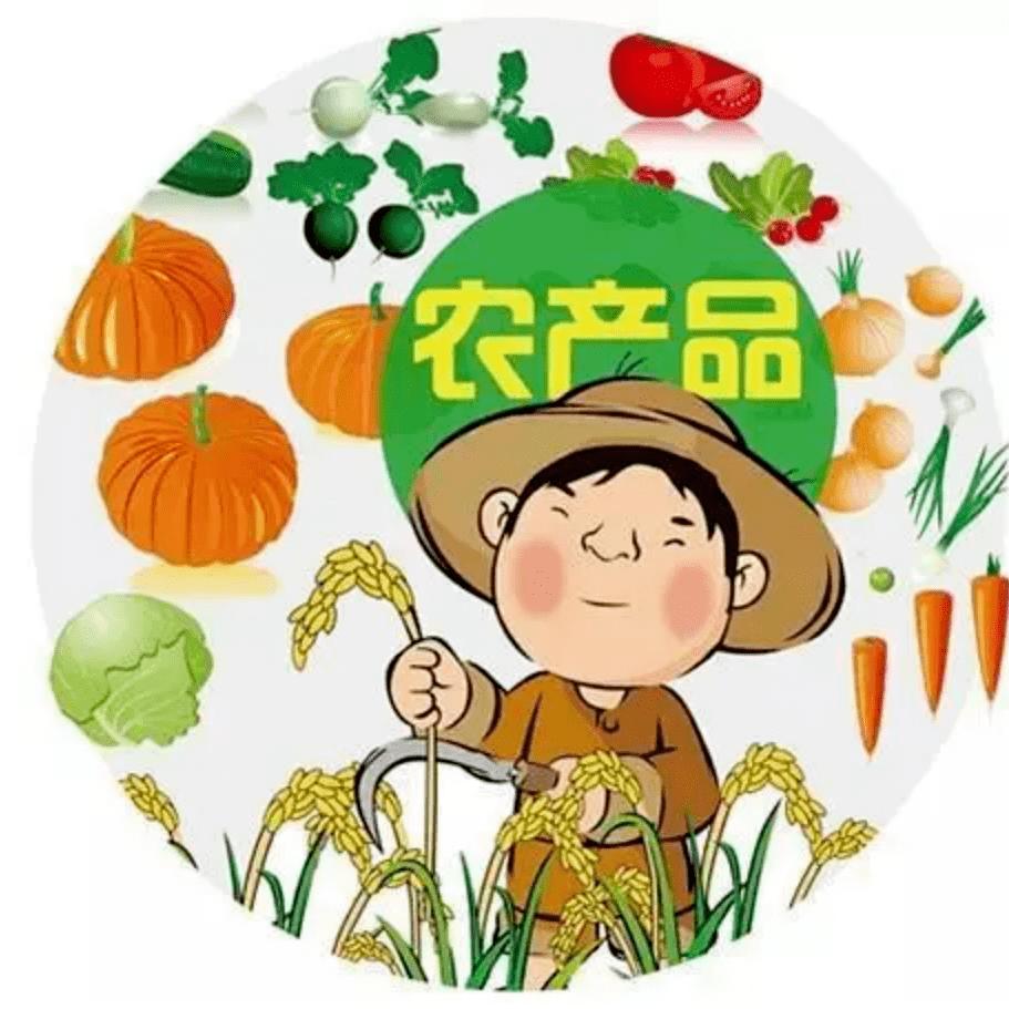 美农生鲜