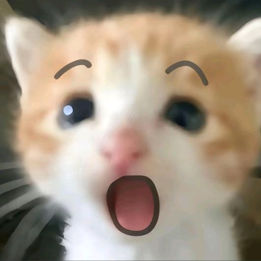 ʚɞ头像