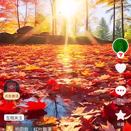 棉花