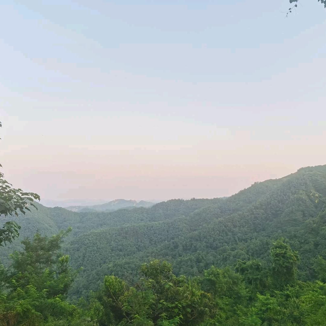 晨曦雨露