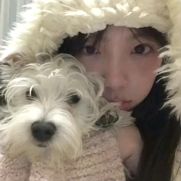 不扎双马尾不会跳舞