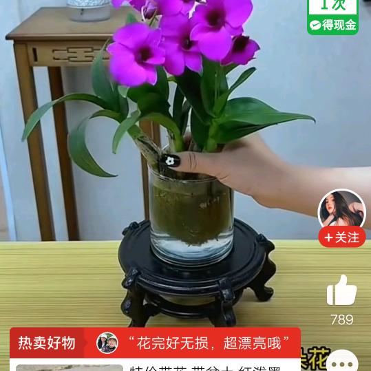 开心李姐